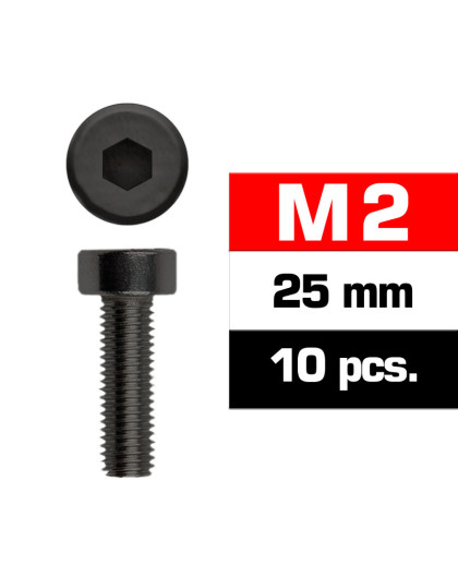 M2x25mm CAP HEAD SCREWS (10 pcs) - UR163225 - ULTIMATE