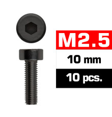 Vis CHC M2.5x10mm (x10) - ULTIMATE - UR1632510